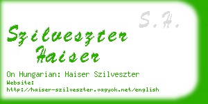 szilveszter haiser business card